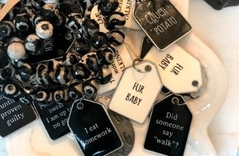 Cute Dog Tags on Our Day Trip from St. Pete